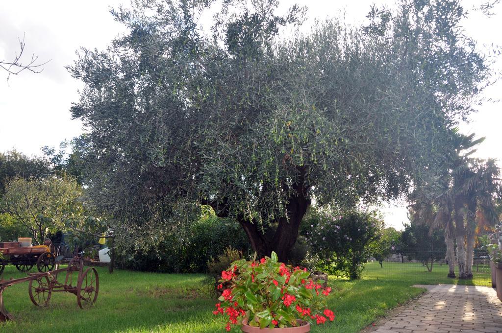Franko Apartmani Zambratija  Dış mekan fotoğraf