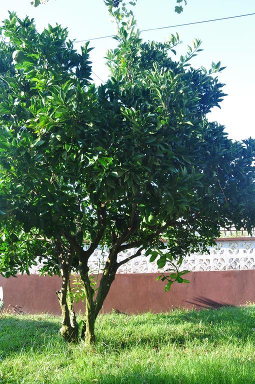 Franko Apartmani Zambratija  Dış mekan fotoğraf