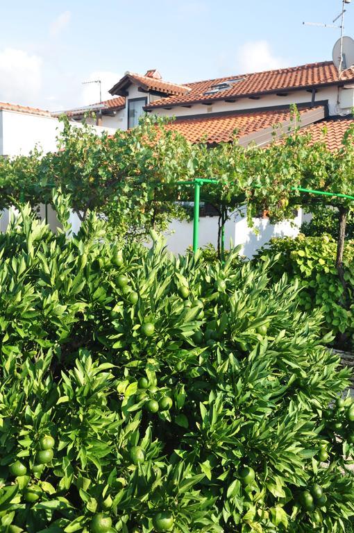 Franko Apartmani Zambratija  Dış mekan fotoğraf